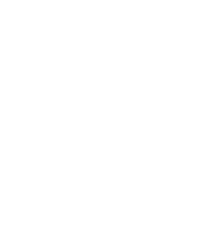 Logo Morgana